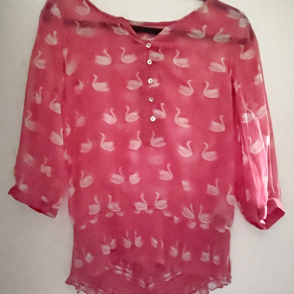 Sheer blouse